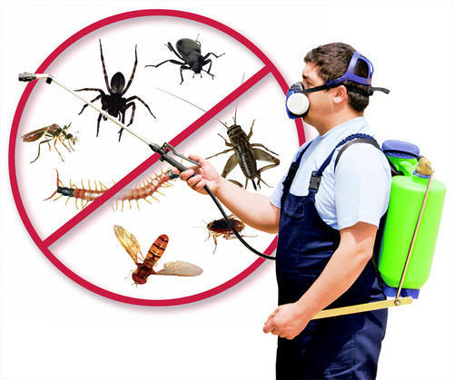 pest control services in Thirumullaivoyal