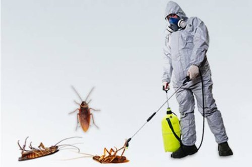 pest control services in sriperumbudur