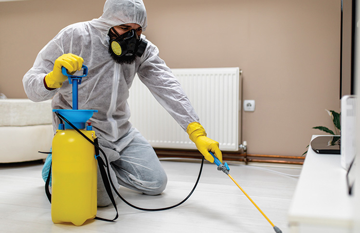 Anti Fungus Disinfection Control Services in Chennai